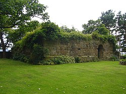 Remains of Elphinstone Tower (geograph 1961775).jpg