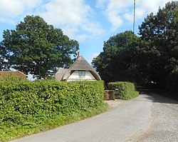 Thatch behind the Hedge in Plastow Green - geograph 6944903.jpg