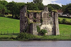 Castles of Leinster, Deeps, Wexford (1) - geograph.org.uk - 3036315.jpg
