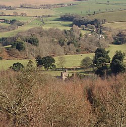 Distant view of Mamhead Church and surroundings - geograph.org.uk - 120793.jpg
