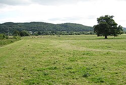 Pasture by the River Wye - geograph.org.uk - 892175.jpg