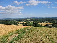 Countryside near Titley