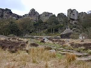 The Roaches - geograph.org.uk - 433672.jpg