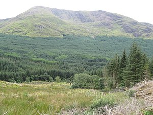 Edge of track, dense forestry with Coire Dubh below Fraochaidh beyond - geograph.org.uk - 920386.jpg
