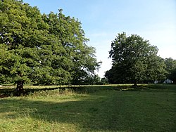 Ankerwycke Meadow - the Buckinghamshire Way passing the priory.jpg