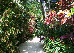 Color garden trail QEII botanic park.jpg