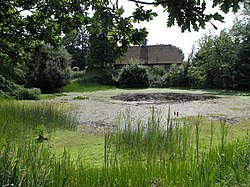 Village pond with village hall in the background - geograph.org.uk - 20961.jpg
