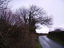 Country Road - geograph.org.uk - 135080.jpg