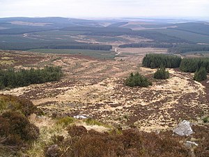 Wauchope Forest from Scrathy Holes - geograph.org.uk - 848189.jpg