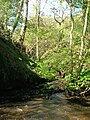 The Cowlinn Burn from Clonbeith