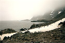 Laurie Island in the South Orkney Islands.jpg