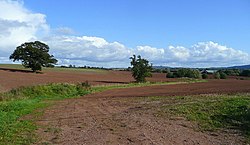 View from south of Brampton Abbotts - geograph.org.uk - 991166.jpg