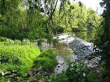 The Tyne at Preston Mill