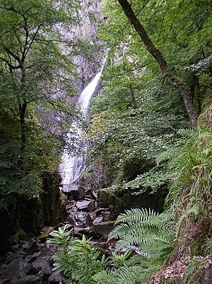 Grey Mare's Tail - geograph.org.uk - 52923.jpg