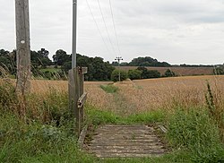 Public footpath between Wellpond Green and Standon - geograph.org.uk - 1448548.jpg
