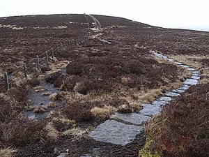 The Pennine Way at Mozie Law - geograph.org.uk - 1221706.jpg