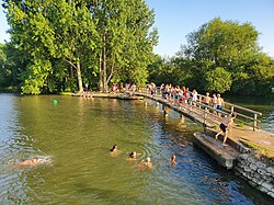 Dozens of swimmers in the River Thames and standing on a bridge over the water.