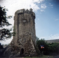 Newtown Castle before restoration.jpg