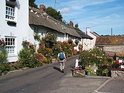 Branscombe, flower displays and doves on thatched roof - geograph.org.uk - 1153316.jpg