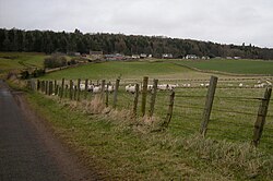 View of Craigton of Airlie Village - geograph.org.uk - 1203428.jpg