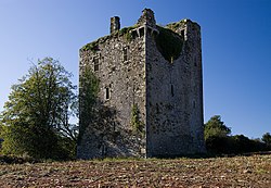 Castles of Munster- Clodah, Cork - revisited (1) (geograph 3716394).jpg