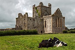 Dunbrody Abbey, Campile, Wexford (geograph 4572049).jpg