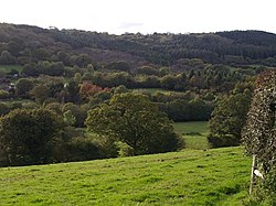 Lynher valley at Middlewood - geograph.org.uk - 588833.jpg