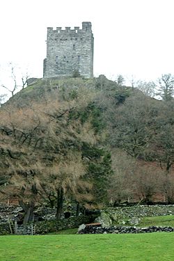 Dolwyddelan Castle.jpg