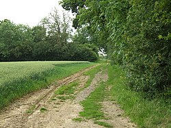 RUPP to Peasefield from Cherry Green - geograph.org.uk - 473482.jpg