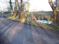 Pond at Aglionby - geograph.org.uk - 342962.jpg
