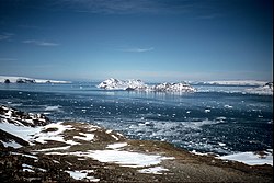Beak Island, Antarctica.jpg