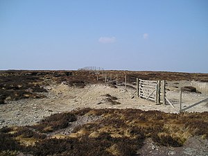 Goat Fence and gate at Carter Fell - geograph.org.uk - 848216.jpg