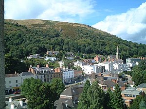 Belle Vue Terrace, Malvern from the top of Priory Church - geograph.org.uk - 3493.jpg