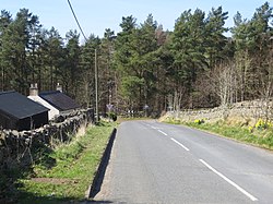 Road at High Dyke Farm, Co Durham - geograph 5324846.jpg