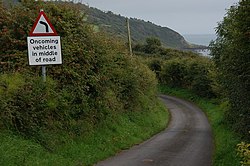 Road near Ballystrudder, Islandmagee - geograph.org.uk - 237672.jpg