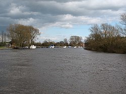 The Ouse at Acaster Malbis - geograph.org.uk - 720595.jpg