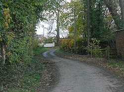 Lane through Hinton, Shropshire - geograph-2178278.jpg