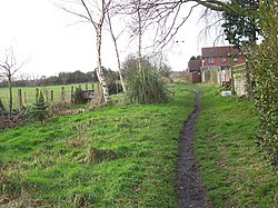 Footpath to rear of Rose Drive, Clayhanger - geograph.org.uk - 898788.jpg