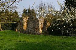 Ruins of St Marys Virley church.jpg