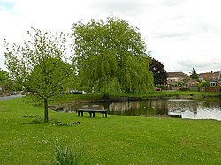 Wigginton village pond.jpg