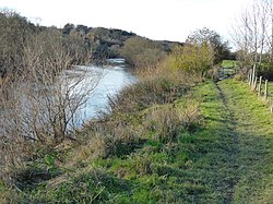 River Wye at Breinton.jpg