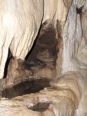 Inside White Scar Caves - geograph.org.uk - 1140760.jpg
