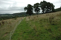 Footpath to Owlpen - geograph.org.uk - 1479729.jpg