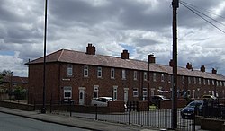 Houses on Oak and Pine Street, Seaton Burn, Northumberland - geograph-3058380.jpg