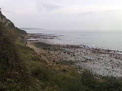 Luccombe Bay.jpg