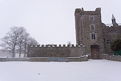 Drimnagh Castle - 20180301103443.jpg