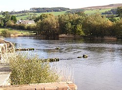 The source of the River Eamont, Soulby township, Dacre CP - geograph.org.uk - 279476.jpg