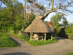 Tree shelter, East Claydon - geograph.org.uk - 410040.jpg