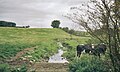 A view of the Brackenburn at Little Alton