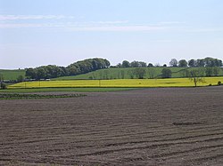 Farmland south of Murroes.jpg
